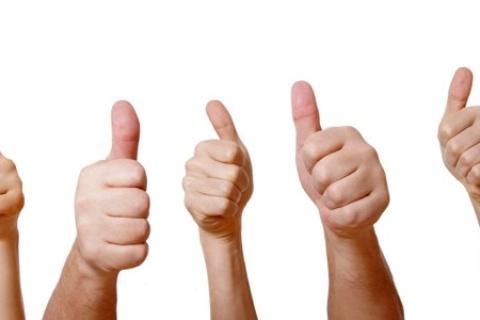 Great Testimonial (and new ideas) from Anita in New Zealand